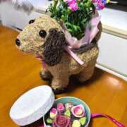 ヒメ日記 2025/05/12 00:10 投稿 ひなみ 横浜コスプレデビュー（シンデレラグループ）