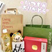 ひなみ 本当にありがとうございました? 横浜コスプレデビュー（シンデレラグループ）