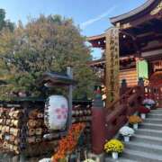 ヒメ日記 2025/11/22 14:03 投稿 桃瀬(ももせ) 八王子人妻城