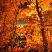 ヒメ日記 2025/11/24 22:18 投稿 桃瀬(ももせ) 八王子人妻城