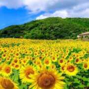 ヒメ日記 2025/07/20 23:49 投稿 みい 鶯谷スピン