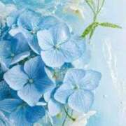 ヒメ日記 2025/07/20 23:57 投稿 みい 鶯谷スピン