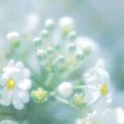 ヒメ日記 2025/08/02 19:05 投稿 みい 鶯谷スピン