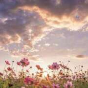 ヒメ日記 2025/04/30 20:46 投稿 咲麻 (えま) カリビアンマッサージ 天使のゆびさき 岡山店