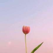 ヒメ日記 2025/06/29 16:38 投稿 咲麻 (えま) カリビアンマッサージ 天使のゆびさき 岡山店