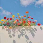 ヒメ日記 2025/07/11 09:52 投稿 咲麻 (えま) カリビアンマッサージ 天使のゆびさき 岡山店