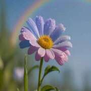 ヒメ日記 2025/07/13 20:42 投稿 咲麻 (えま) カリビアンマッサージ 天使のゆびさき 岡山店