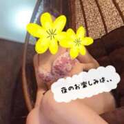 ヒメ日記 2025/03/15 22:37 投稿 あすみ マダム可憐