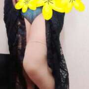 ヒメ日記 2025/04/20 13:54 投稿 あすみ マダム可憐