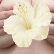 ヒメ日記 2025/12/10 17:46 投稿 あんな 熟女家 京橋店