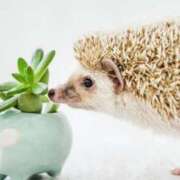 ヒメ日記 2025/03/02 09:56 投稿 みすず 熟女の風俗アウトレット大垣安八羽島店