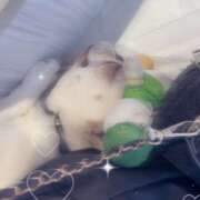 ヒメ日記 2025/06/11 18:43 投稿 ゆめ 大宮baton