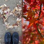 ヒメ日記 2025/11/18 20:41 投稿 ゆめ 大宮baton