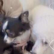 ヒメ日記 2026/02/18 14:00 投稿 ゆめ 大宮baton