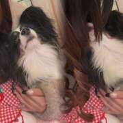 ヒメ日記 2026/03/13 12:57 投稿 ゆめ 大宮baton