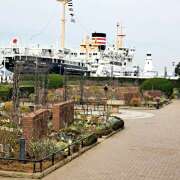 ヒメ日記 2025/03/16 16:36 投稿 野原琴 五十路マダムエクスプレス横浜店（カサブランカグループ）