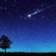 ヒメ日記 2025/04/19 23:20 投稿 野原琴 五十路マダムエクスプレス横浜店（カサブランカグループ）