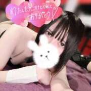 ヒメ日記 2025/02/26 23:46 投稿 マユ ドMなバニーちゃん大宮店