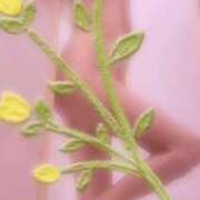 ヒメ日記 2025/07/10 23:15 投稿 きみこ 熟女の風俗最終章 宇都宮店