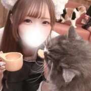 ヒメ日記 2025/10/19 11:18 投稿 あい 隙のあるエステ