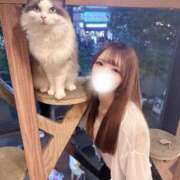 ヒメ日記 2025/11/04 03:16 投稿 あい 隙のあるエステ