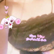 ヒメ日記 2025/02/24 04:40 投稿 宇佐美　はな 妻の本音