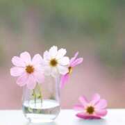 ヒメ日記 2025/11/14 07:31 投稿 長澤みき 池袋㊙エステ～フル勃起～