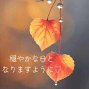 ヒメ日記 2025/11/15 07:28 投稿 長澤みき 池袋㊙エステ～フル勃起～