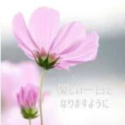 ヒメ日記 2025/11/16 07:51 投稿 長澤みき 池袋㊙エステ～フル勃起～