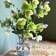 ヒメ日記 2025/11/17 07:31 投稿 長澤みき 池袋㊙エステ～フル勃起～