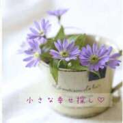 ヒメ日記 2025/11/18 07:31 投稿 長澤みき 池袋㊙エステ～フル勃起～