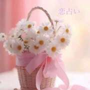 ヒメ日記 2025/11/25 07:31 投稿 長澤みき 池袋㊙エステ～フル勃起～