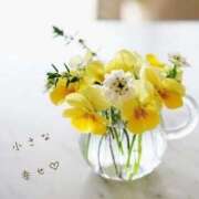 ヒメ日記 2025/11/26 08:00 投稿 長澤みき 池袋㊙エステ～フル勃起～