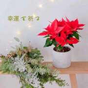 ヒメ日記 2025/11/28 08:11 投稿 長澤みき 池袋㊙エステ～フル勃起～