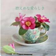 ヒメ日記 2025/11/29 07:21 投稿 長澤みき 池袋㊙エステ～フル勃起～