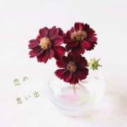 ヒメ日記 2025/11/30 07:21 投稿 長澤みき 池袋㊙エステ～フル勃起～