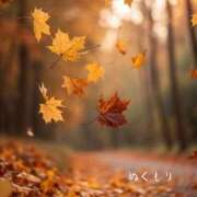 ヒメ日記 2025/12/02 08:11 投稿 長澤みき 池袋㊙エステ～フル勃起～