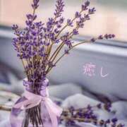 ヒメ日記 2025/12/03 07:21 投稿 長澤みき 池袋㊙エステ～フル勃起～