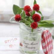 ヒメ日記 2025/12/05 07:34 投稿 長澤みき 池袋㊙エステ～フル勃起～