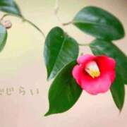 長澤みき 恥じらい♡ 池袋㊙エステ～フル勃起～