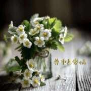 ヒメ日記 2025/12/15 09:21 投稿 長澤みき 池袋㊙エステ～フル勃起～