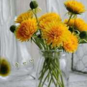 ヒメ日記 2025/12/16 07:35 投稿 長澤みき 池袋㊙エステ～フル勃起～