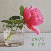 ヒメ日記 2025/12/17 08:11 投稿 長澤みき 池袋㊙エステ～フル勃起～