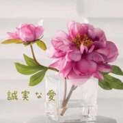 ヒメ日記 2025/12/19 08:35 投稿 長澤みき 池袋㊙エステ～フル勃起～