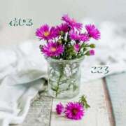 ヒメ日記 2025/12/21 07:35 投稿 長澤みき 池袋㊙エステ～フル勃起～