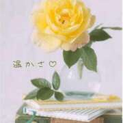 ヒメ日記 2025/12/22 08:07 投稿 長澤みき 池袋㊙エステ～フル勃起～