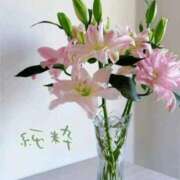 ヒメ日記 2025/12/23 07:34 投稿 長澤みき 池袋㊙エステ～フル勃起～