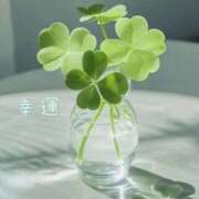 ヒメ日記 2025/12/28 08:01 投稿 長澤みき 池袋㊙エステ～フル勃起～