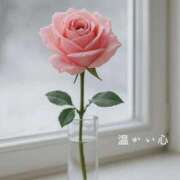 ヒメ日記 2025/12/29 08:00 投稿 長澤みき 池袋㊙エステ～フル勃起～