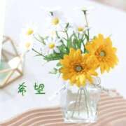 ヒメ日記 2026/01/16 08:35 投稿 長澤みき 池袋㊙エステ～フル勃起～